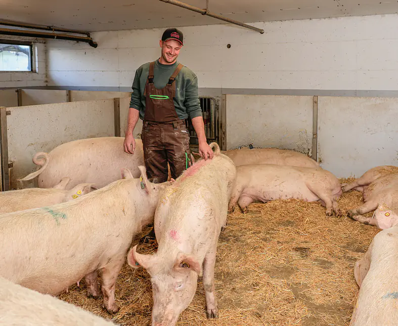 Simon Heller low_low.jpg