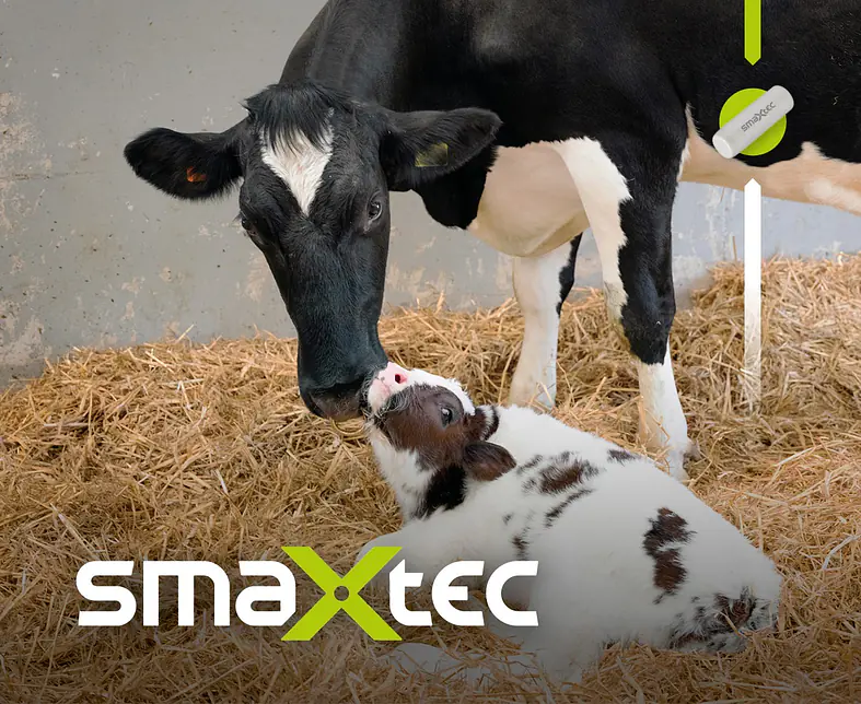 Fruchtbarkeit_NL_smaXtec Sujet.jpg