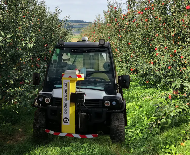 Stecher in Obstanlage - Kopie.png