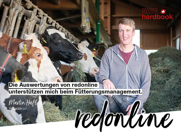 redonline - schnell, einfach, zuverlässig