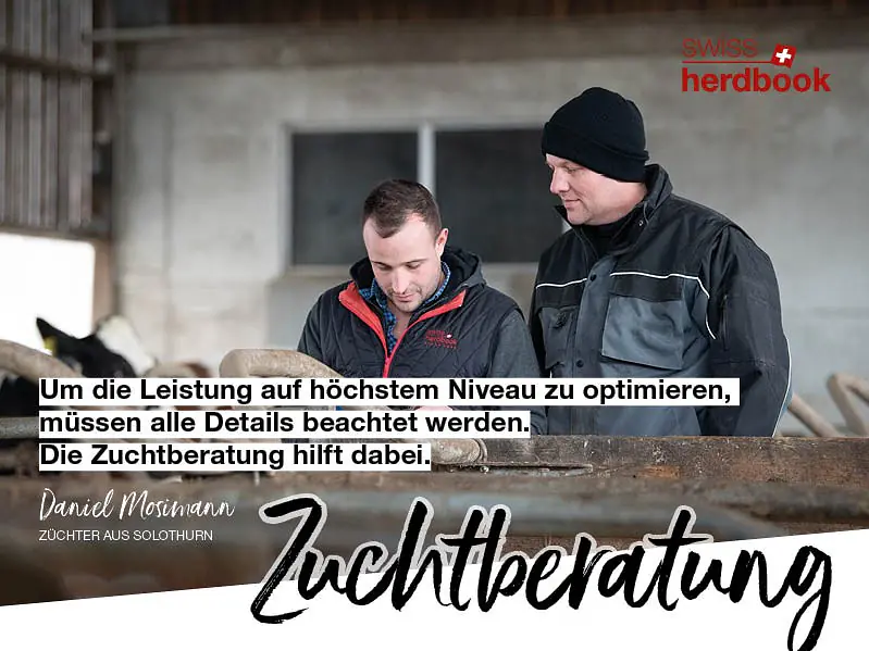 Zuchtberatung