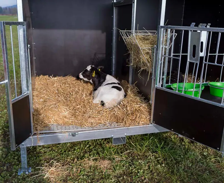 Kälberexpress 2.0 2020_4.JPG