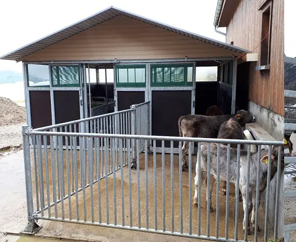 Collagen Gruppenhaus klein.jpg