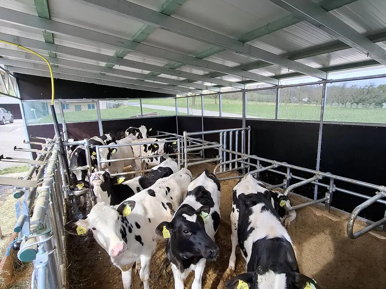 Kälberhaus individuell