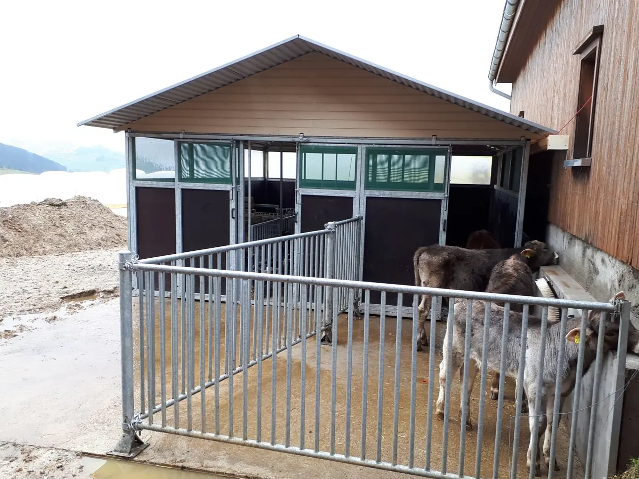 Kälberhaus individuell