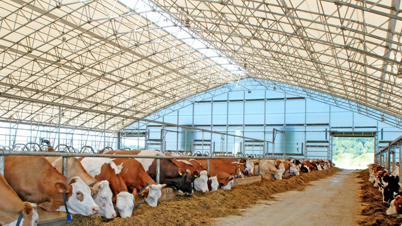 Gitterträgerhallen